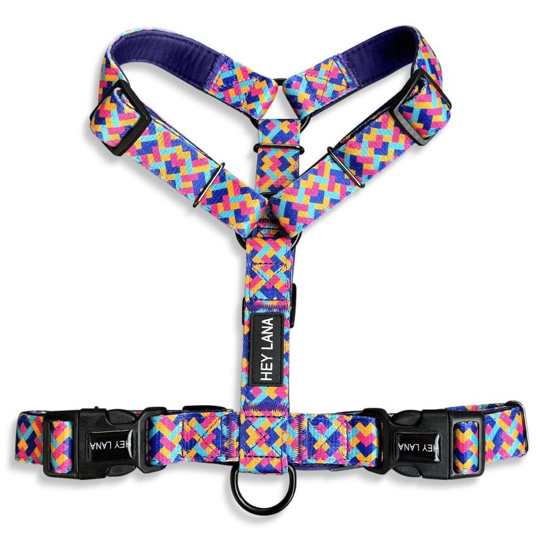 Harness - Colorful - 5-way adjustable