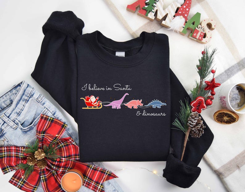 I Believe in Santa and Dinosaurs, Christmas Santa Sweatshirt, Santa Sweater, Cute Dinosaur Sweatshirt, Funny Xmas Sweatshirt, Xmas Gifts