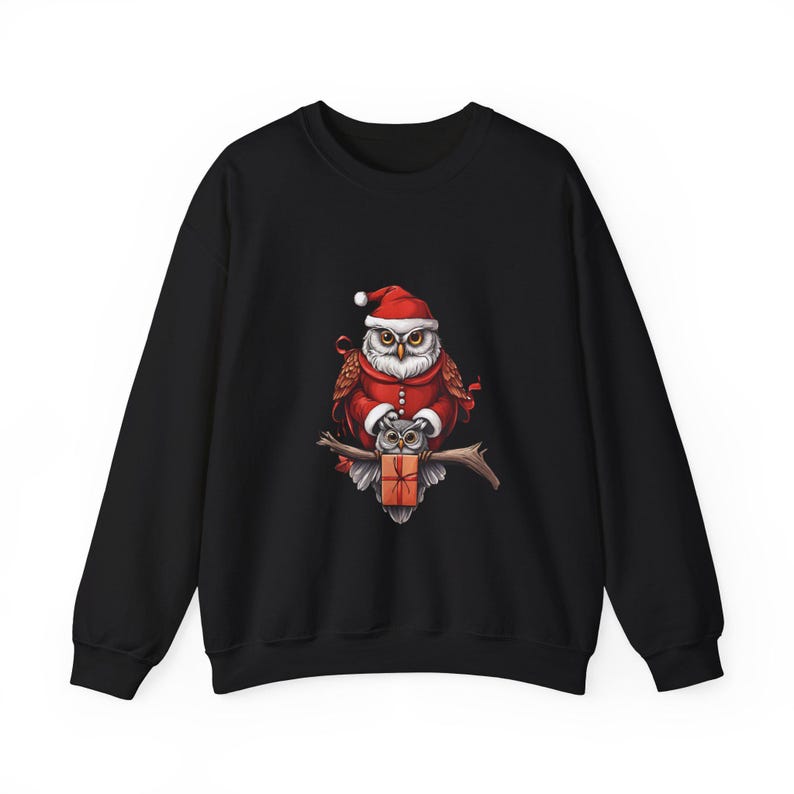 Owl christmas sweatshirt,birds christmas sweater,peanuts holiday,merry christmas,new year season 2024,owl santa man hat sweater,grincy hoodi